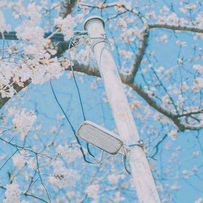名剑天涯录官方版下载